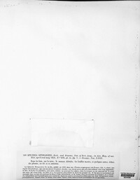 Image of Rosellinia desmazieri